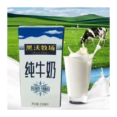 完达山黑沃牧场纯牛奶学生奶 250ml*12盒 整箱装图4