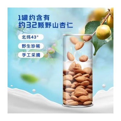 露露 承德露露杏仁露 经典款 植物蛋白饮品 240ml*20罐 整箱装图4