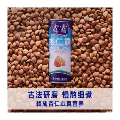 露露 承德露露杏仁露 经典款 植物蛋白饮品 240ml*20罐 整箱装图6