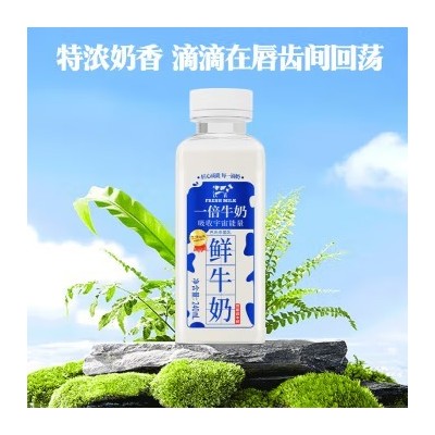 瑞康 一倍牛奶全脂纯牛奶鲜奶生牛乳儿童成人早餐奶 240ml*8瓶 整箱装图4