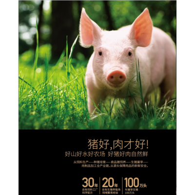 加大美园黑胡椒猪肉烤肠  500g图3