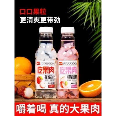 大果粒果肉果汁饮料450ml*15瓶嚼着喝多口味蜂蜜菠萝葡萄荔枝蜜桃图2