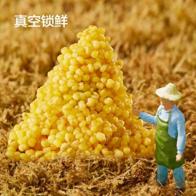 京东京造山西黄小米 2.5kg*1袋图2