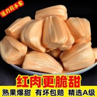 越南 红肉菠萝蜜红心10-12斤/ 箱