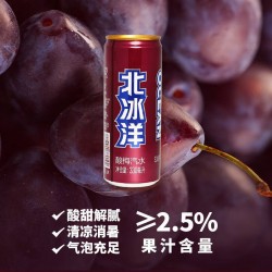 北冰洋酸梅汽水330ml*24罐 老北京酸梅汤罐装西梅汁果汁碳酸饮料图2