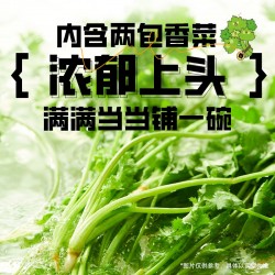 白象-极致系列 香菜面  传统工艺匠心慢熬  浓郁上头 慢慢当当一碗 115g*5包/大包装图6