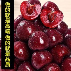 山东大樱桃新鲜红灯车厘子当季山东新鲜水果9.5-10斤/箱汁多肉厚营养丰富图4