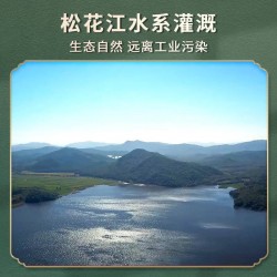 三人行 延寿香米  粒型饱满，颗粒均匀 口感爽滑,香味浓郁 编织袋 4.5kg/袋图6