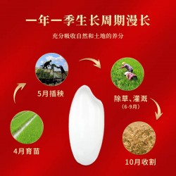 三人行 御贡  粒型饱满，颗粒均匀，口感爽滑,香味浓郁 编织袋 5kg/袋图5