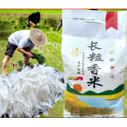 吉林长粒香大米产地直供5KG包装每斤只需2.15元