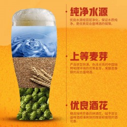 北京双合盛国产精酿啤酒德式小麦白啤原浆高度500ml*12瓶整箱图3