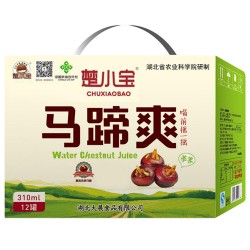 楚小宝马蹄爽果蔬汁饮料310ml*12罐/箱图2