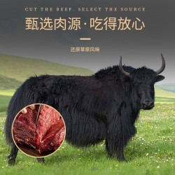 牦牛沟风干牛肉特产礼盒装800g现货手撕风干牛肉麻辣五香牛肉干图3