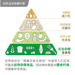 旌晶营养玉米粉2袋冲饮熟玉米糊免煮冲泡型速食代餐粥即食早餐图9