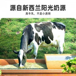 宜简乳酸菌发酵味轻乳苏打汽水 500ml图2