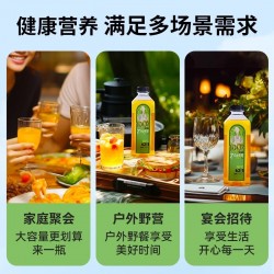 批发佐餐时间HPP纯苹果汁冷压鲜榨果汁饮料红富士苹果NFC果汁1L家庭装图5