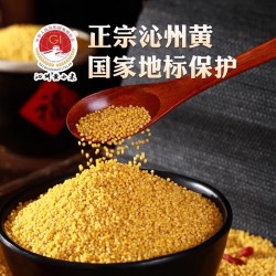 批发北方水城新米山西沁州黄小米（500g*43包）*1件 3件起批图4