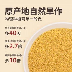 批发北方水城山西沁州黄小米5000g*5包图4