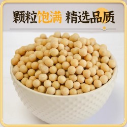 吾爱吾谷东北黄豆大豆500g*1 农家自种打豆浆专用黄豆发豆芽新货图2