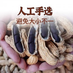 吾爱吾谷新鲜黑花生450g/罐 当季山东特产新鲜种子大颗粒生的原味去壳老品种花生米图5