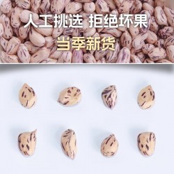 吾爱吾谷七彩花生米450g/罐 云南特产新货去壳紫纹花生野地花生新鲜晒干原味零食生图3