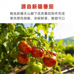 西疆红番茄酱3kg大罐装手抓饼披萨原料浓缩番茄调味酱料商用整箱图2