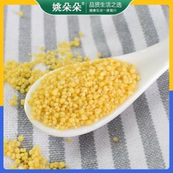 姚朵朵有机黄小米400g 东北小黄米五谷杂粮粗粮香糯黏稠小米粥料新米图3