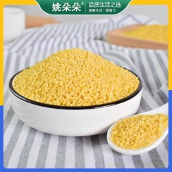 姚朵朵有机黄小米400g 东北小黄米五谷杂粮粗粮香糯黏稠小米粥料新米图2