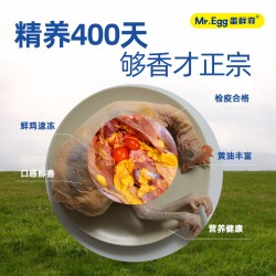 蛋鲜森 400天黄油老母鸡1100g±100g/只（2只装）图2