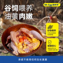 蛋鲜森 400天黄油老母鸡1100g±100g/只（2只装）图3