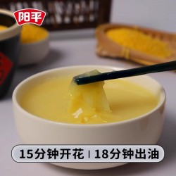 黄金苗黄小米5斤 当季新产米粮食农家食用糯五谷杂粮粥月子粟米脂图5