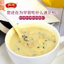 椰粉核桃燕麦代餐粉450g即食冲泡核桃葡萄干黑加仑芝麻乳营养食品图5