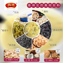 椰粉核桃燕麦代餐粉450g即食冲泡核桃葡萄干黑加仑芝麻乳营养食品图4